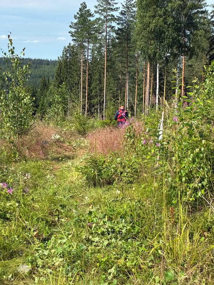 Leininranta Caravan — photo 4